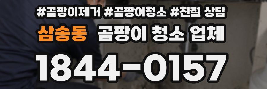 삼송동 곰팡이 청소 업체