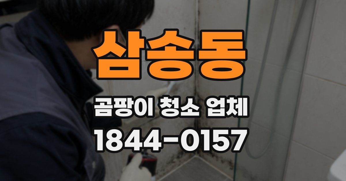 삼송동 곰팡이 청소 업체