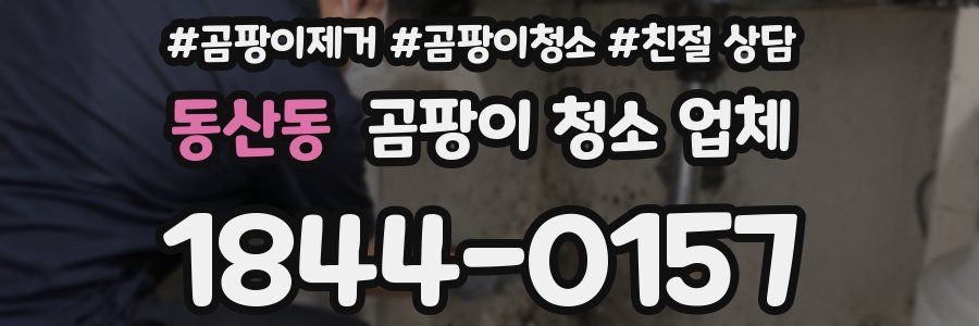 동산동 곰팡이 청소 업체