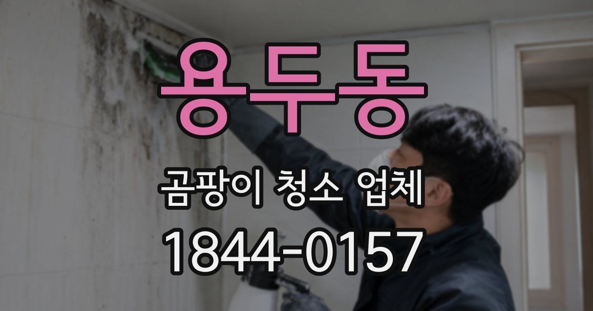 용두동 곰팡이 청소 업체