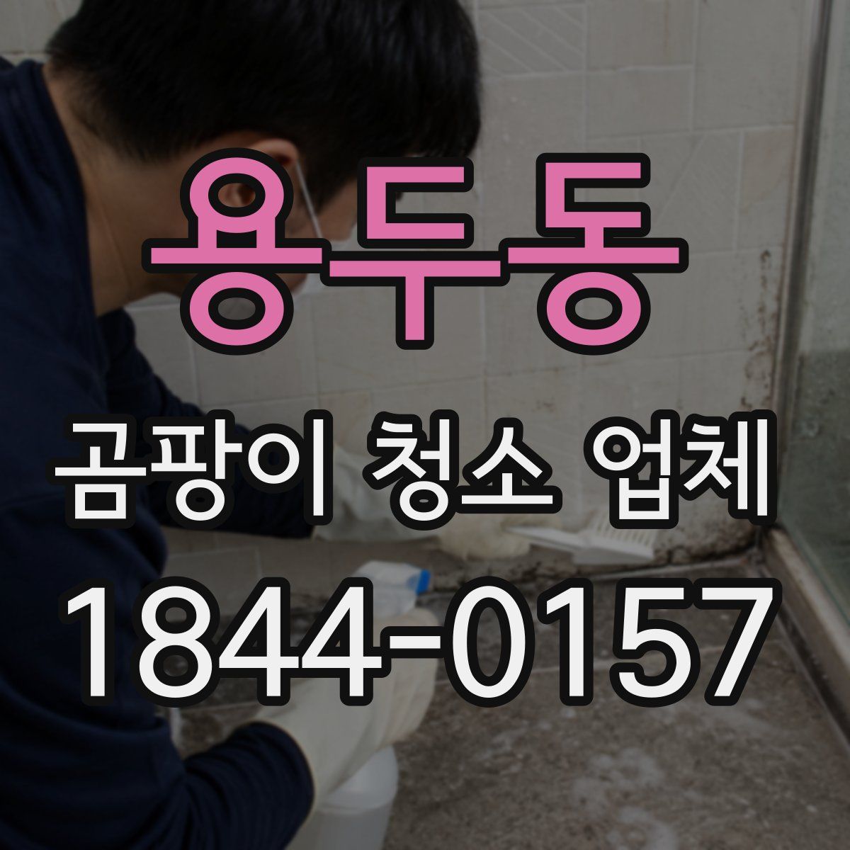 용두동 곰팡이 청소 업체