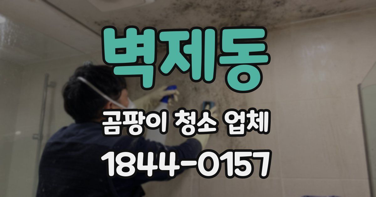 벽제동 곰팡이 청소 업체