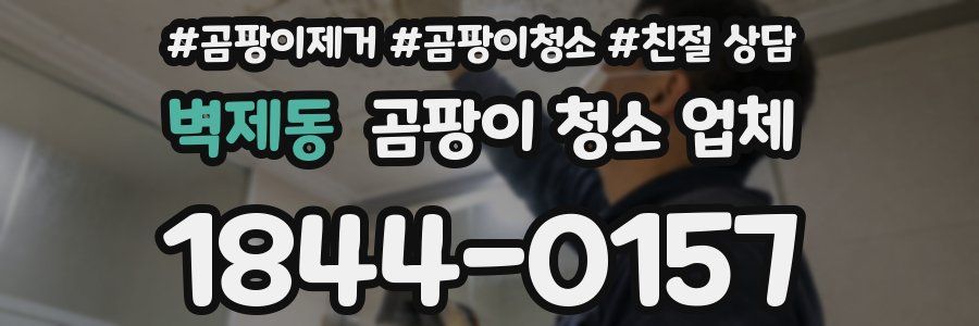 벽제동 곰팡이 청소 업체