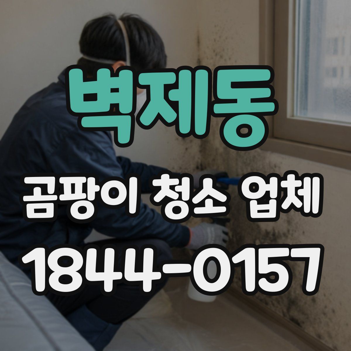 벽제동 곰팡이 청소 업체