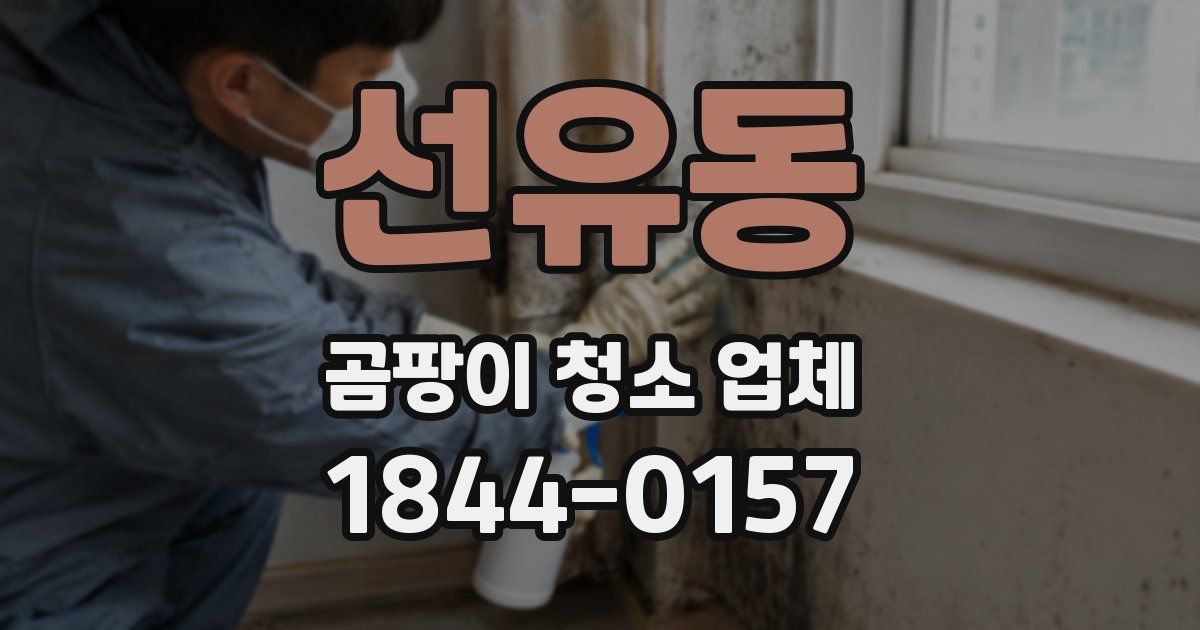 선유동 곰팡이 청소 업체