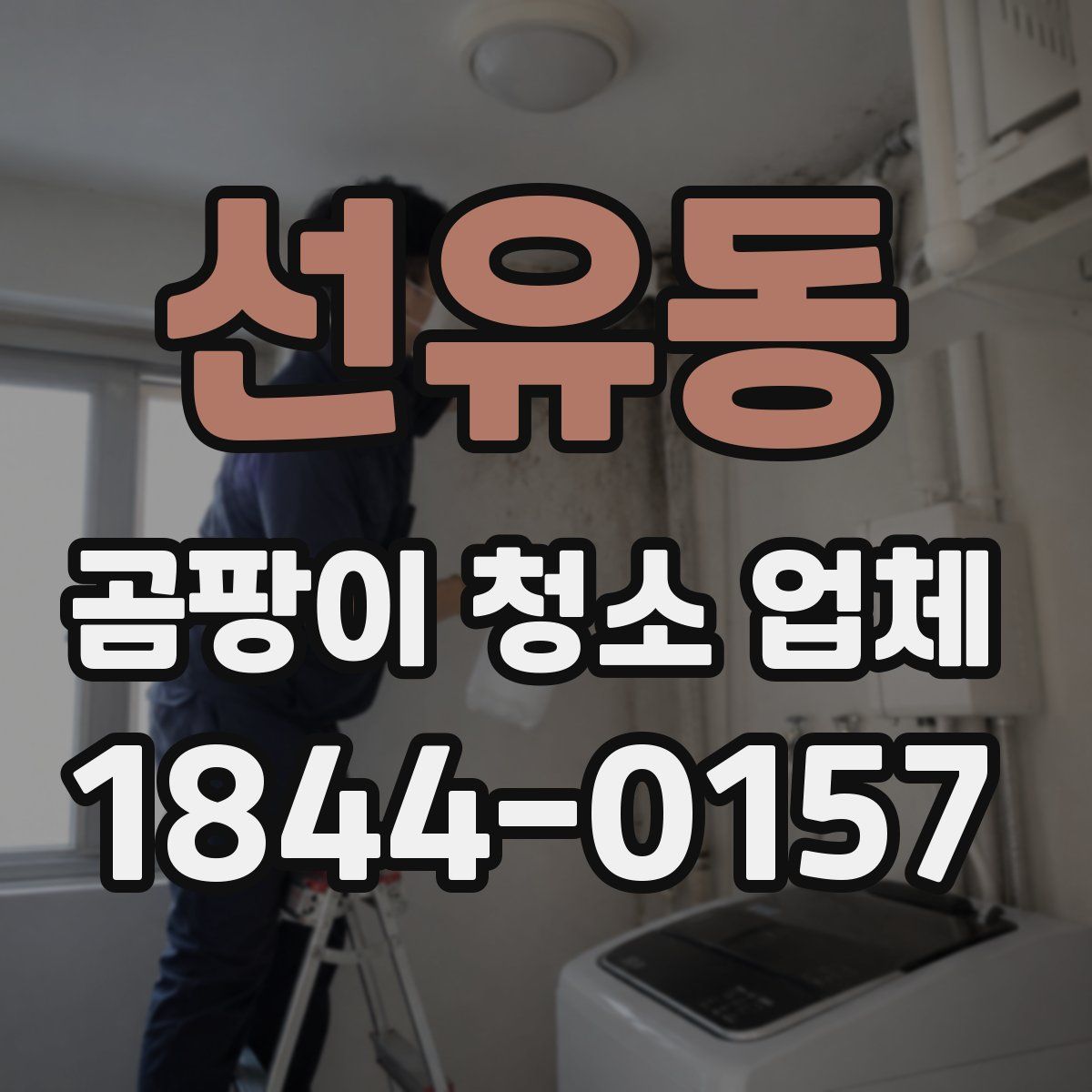 선유동 곰팡이 청소 업체