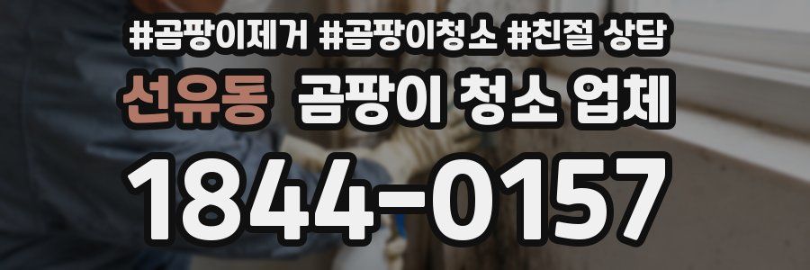 선유동 곰팡이 청소 업체