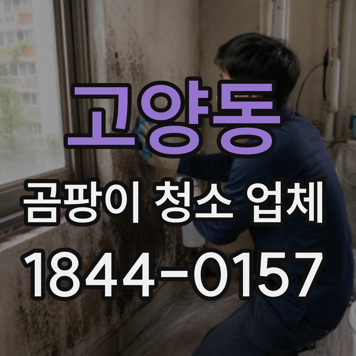 고양동 곰팡이 청소 업체