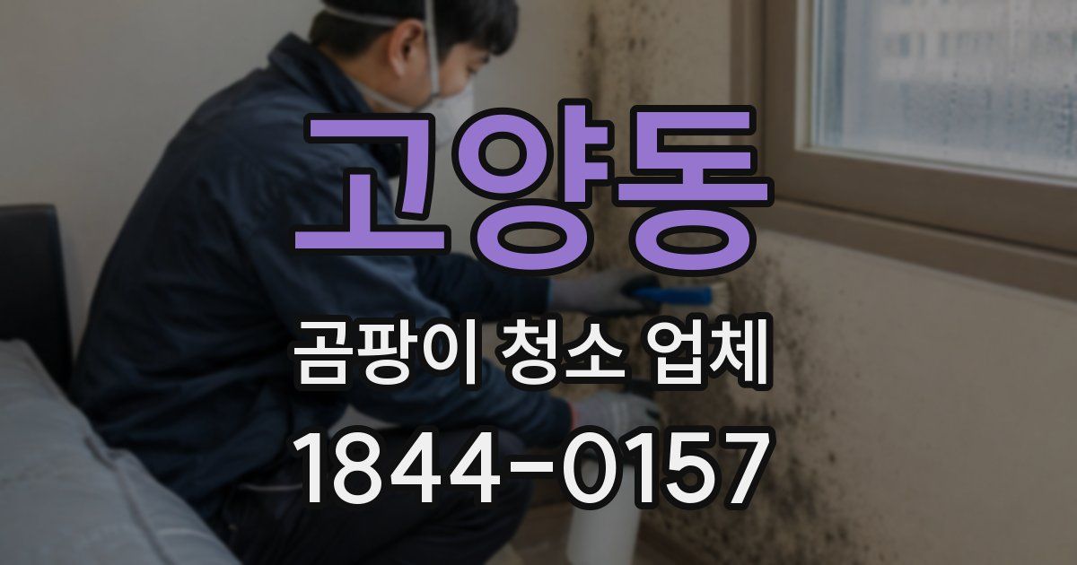 고양동 곰팡이 청소 업체