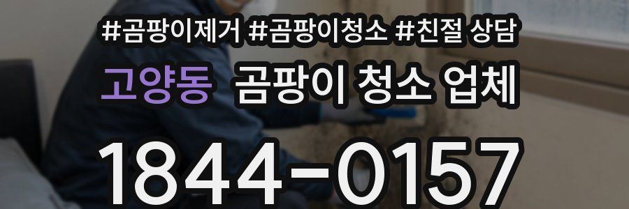 고양동 곰팡이 청소 업체