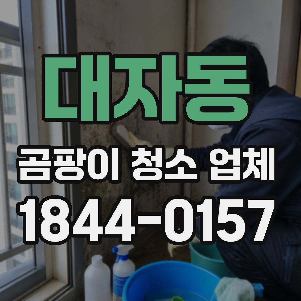 대자동 곰팡이 청소 업체