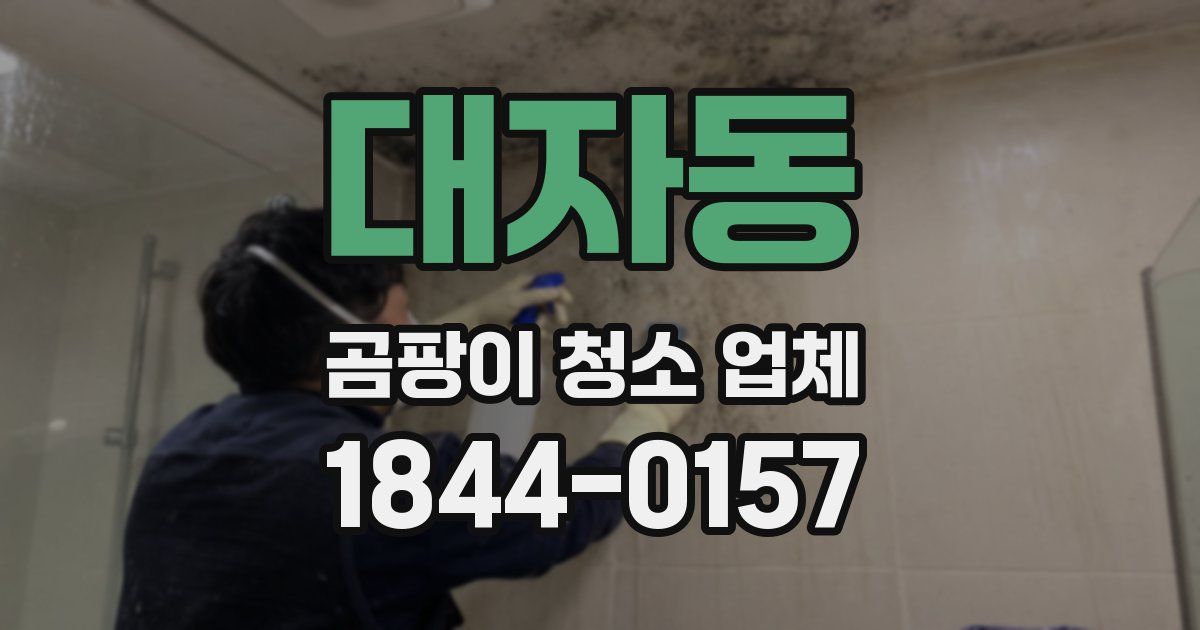 대자동 곰팡이 청소 업체
