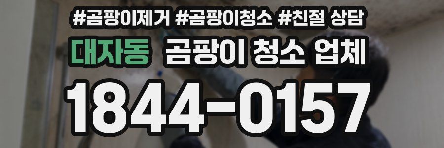 대자동 곰팡이 청소 업체