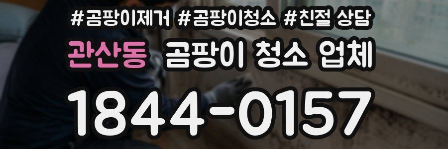 관산동 곰팡이 청소 업체