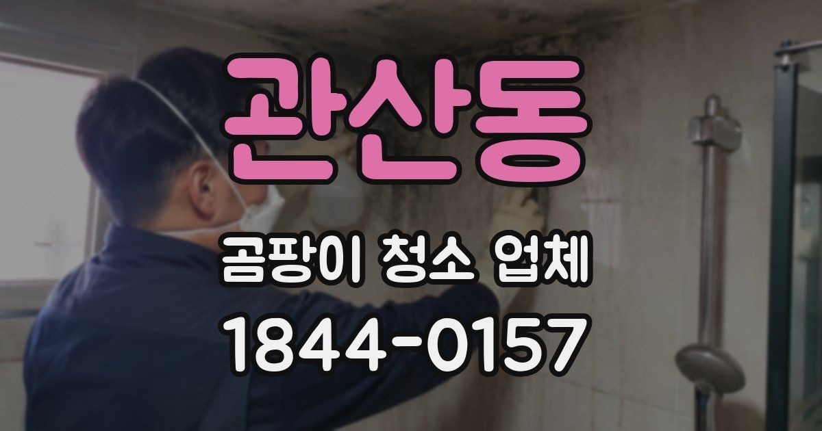 관산동 곰팡이 청소 업체