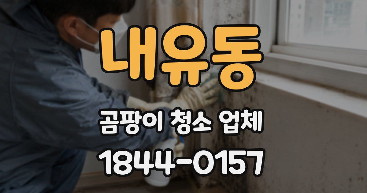 내유동 곰팡이 청소 업체