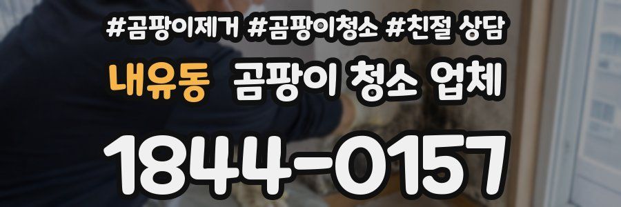 내유동 곰팡이 청소 업체