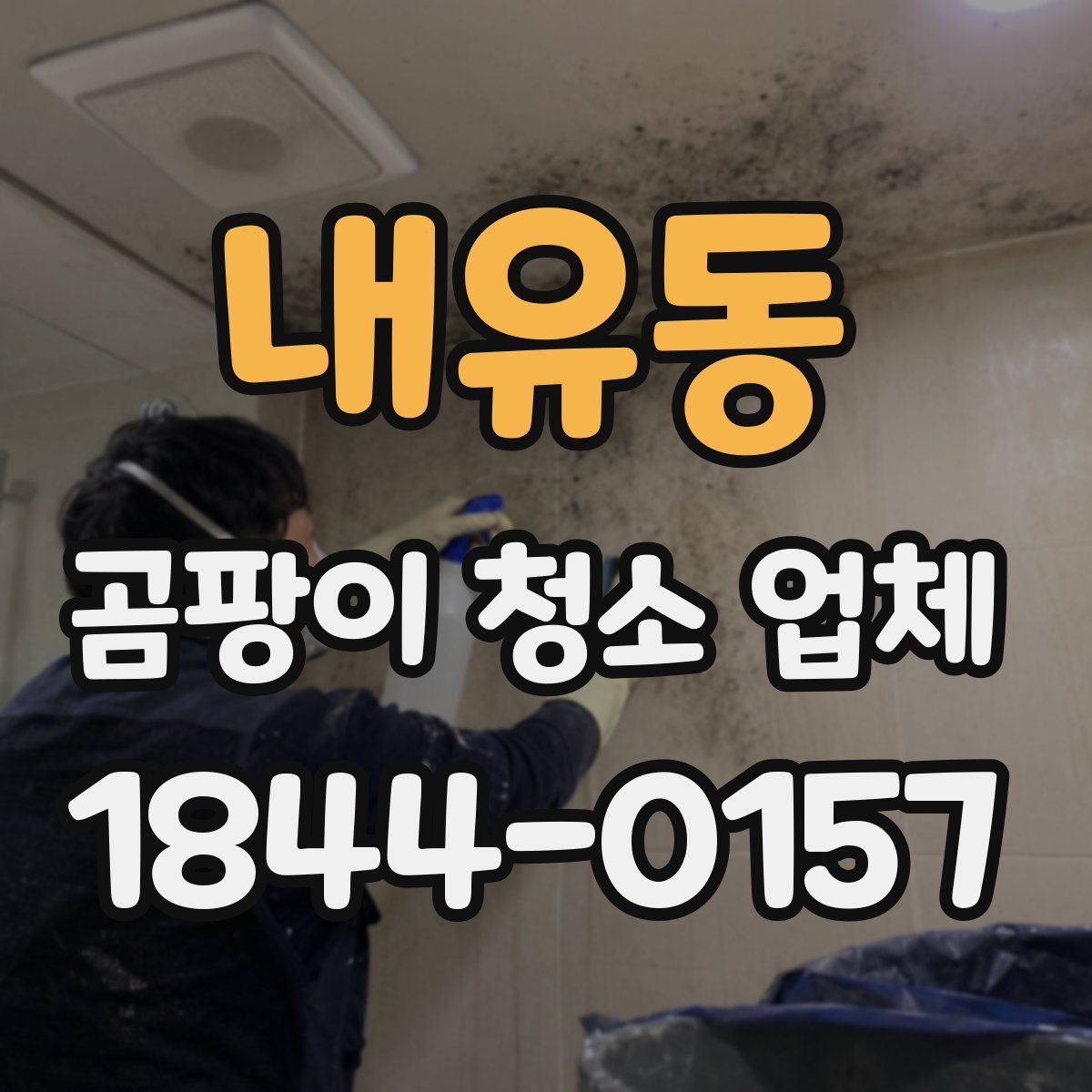 내유동 곰팡이 청소 업체