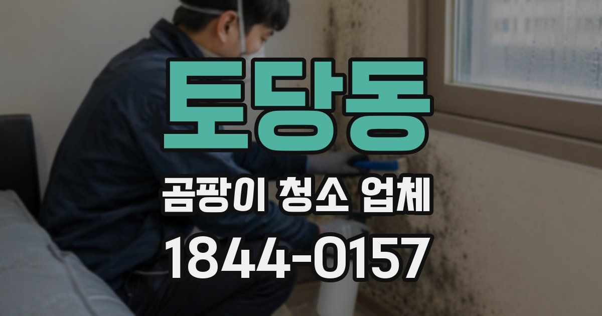 토당동 곰팡이 청소 업체
