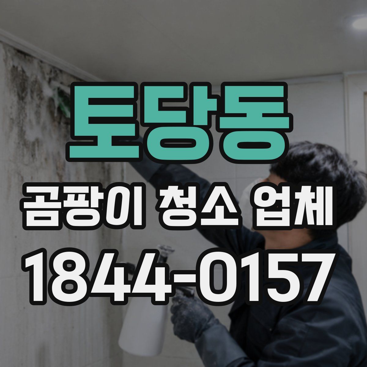 토당동 곰팡이 청소 업체