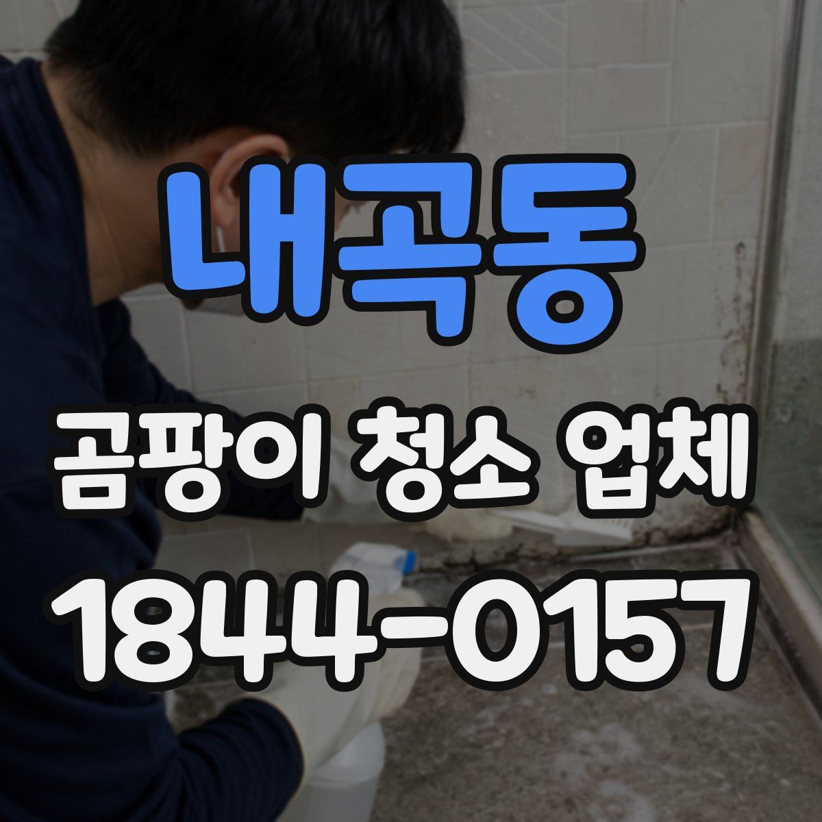 내곡동 곰팡이 청소 업체