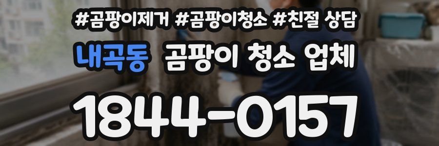 내곡동 곰팡이 청소 업체