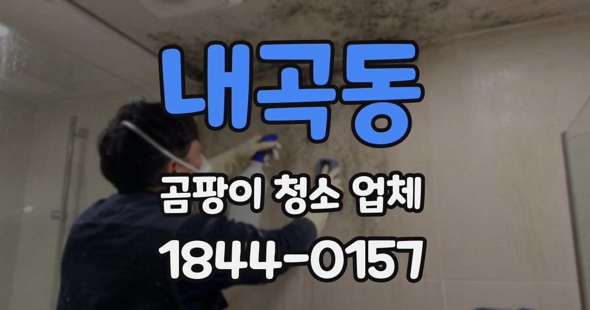 내곡동 곰팡이 청소 업체