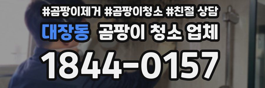 대장동 곰팡이 청소 업체