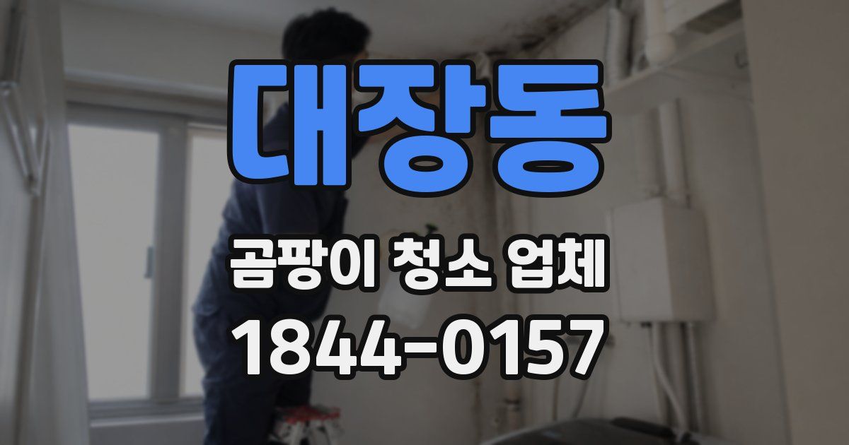 대장동 곰팡이 청소 업체