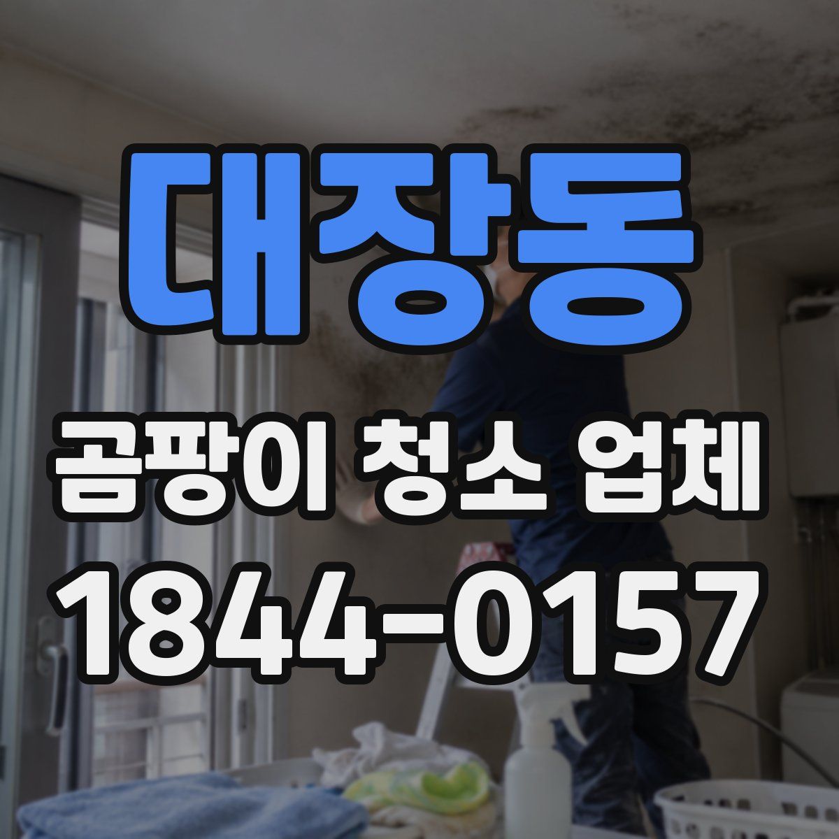 대장동 곰팡이 청소 업체