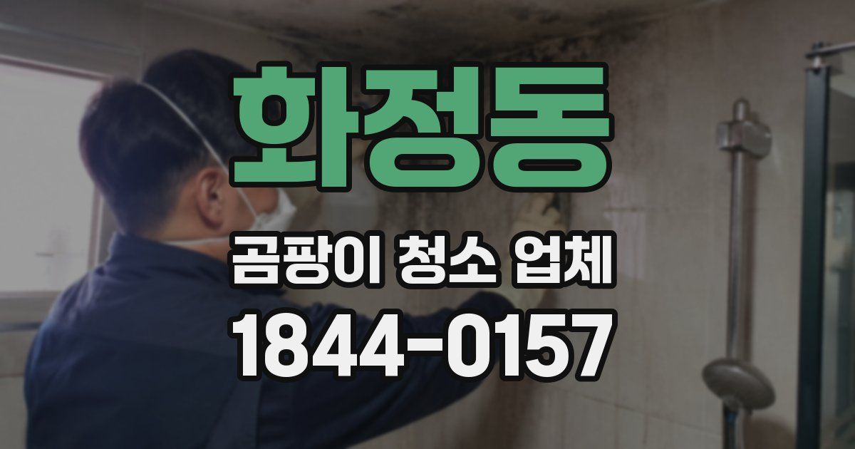 화정동 곰팡이 청소 업체