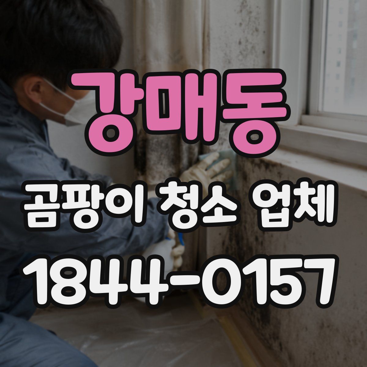 강매동 곰팡이 청소 업체