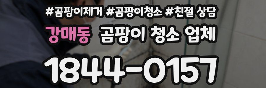 강매동 곰팡이 청소 업체