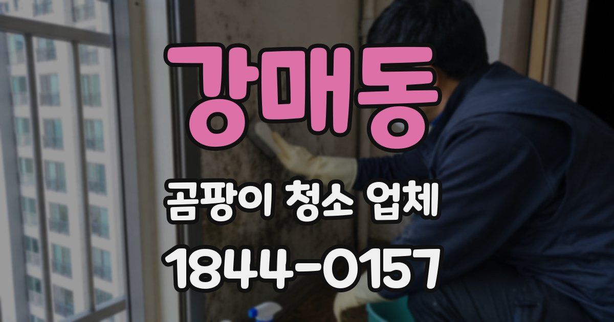 강매동 곰팡이 청소 업체