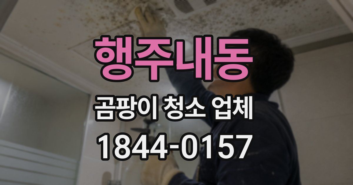 행주내동 곰팡이 청소 업체