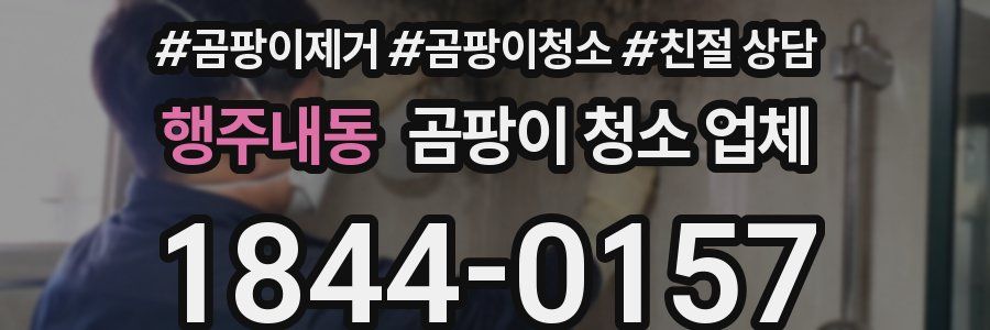행주내동 곰팡이 청소 업체