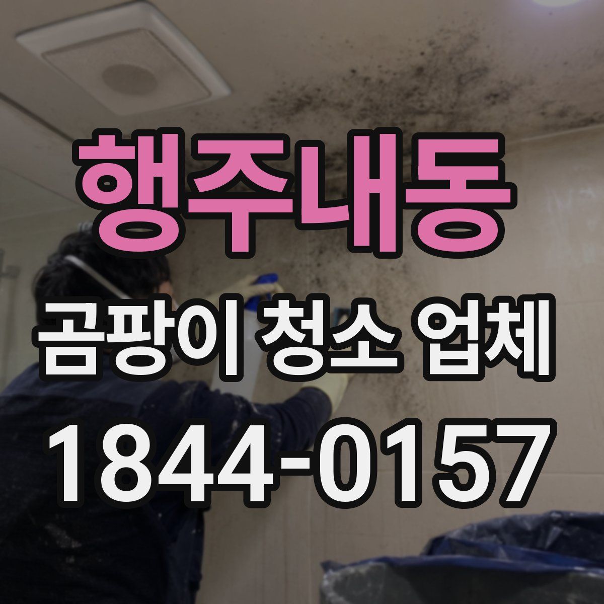 행주내동 곰팡이 청소 업체