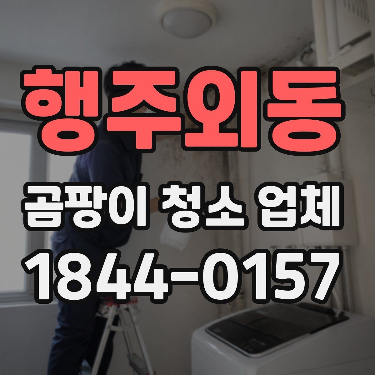 행주외동 곰팡이 청소 업체 후기에서 많이 보이는 항목