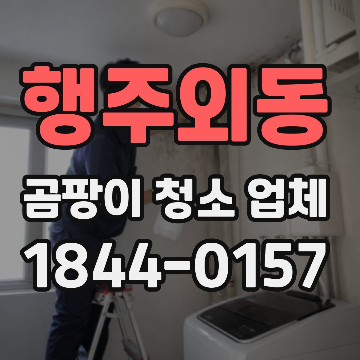 행주외동 곰팡이 청소 업체
