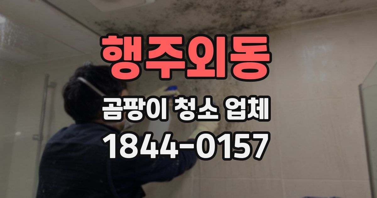 행주외동 곰팡이 청소 업체