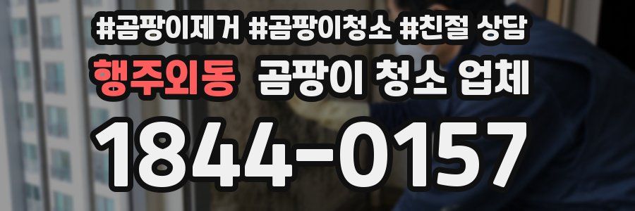행주외동 곰팡이 청소 업체