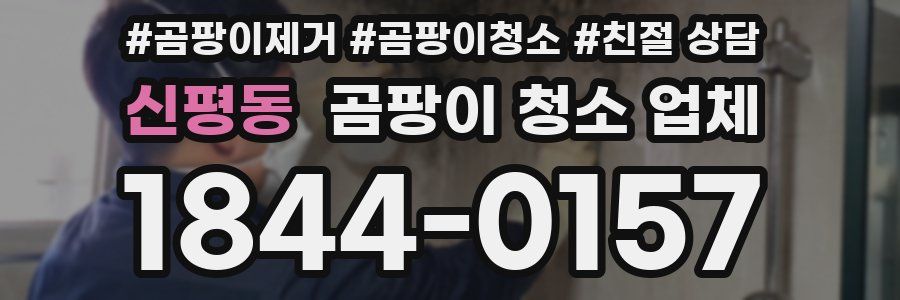 신평동 곰팡이 청소 업체