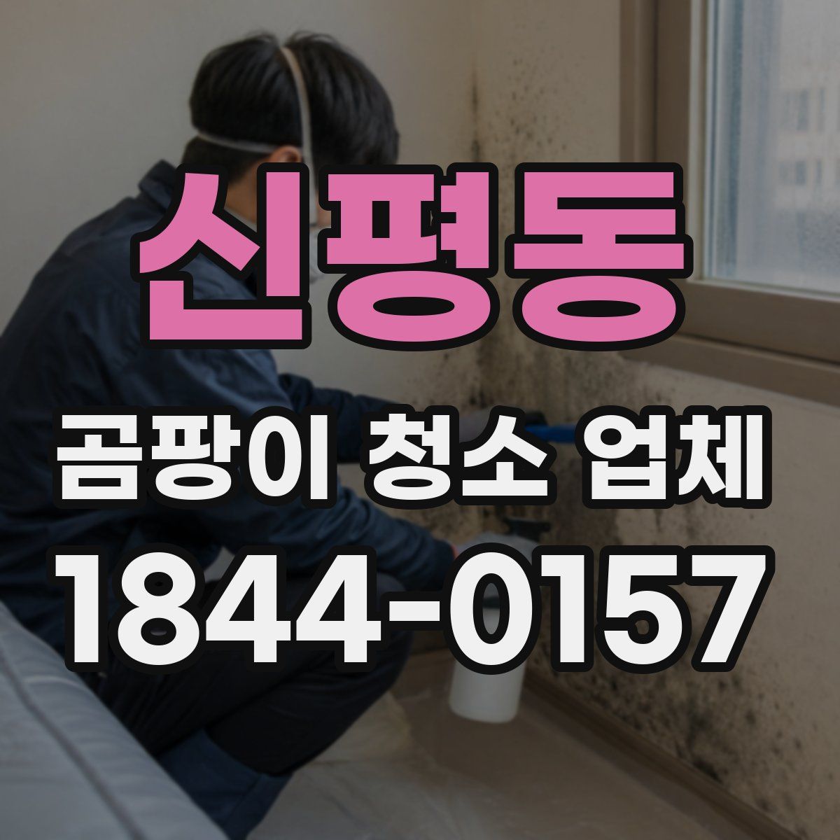 신평동 곰팡이 청소 업체