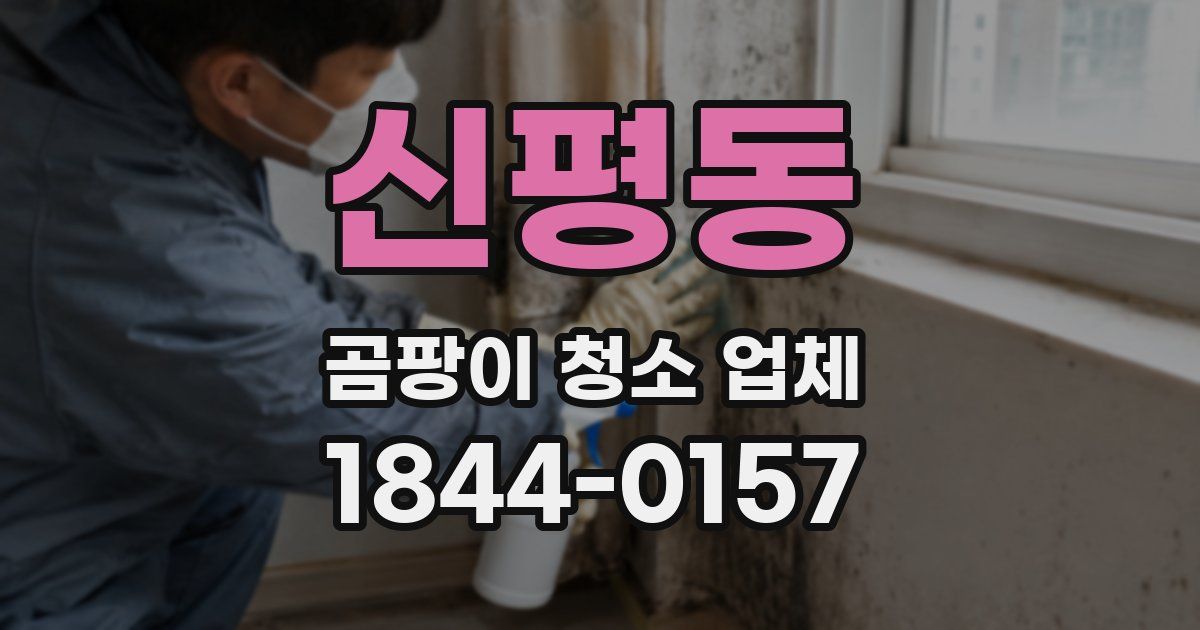 신평동 곰팡이 청소 업체