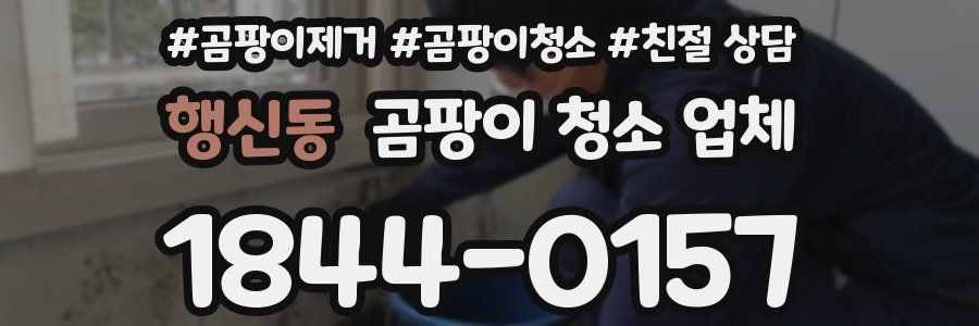 행신동 곰팡이 청소 업체