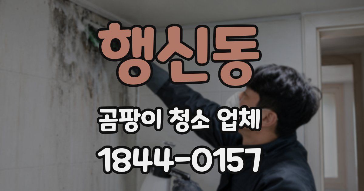 행신동 곰팡이 청소 업체