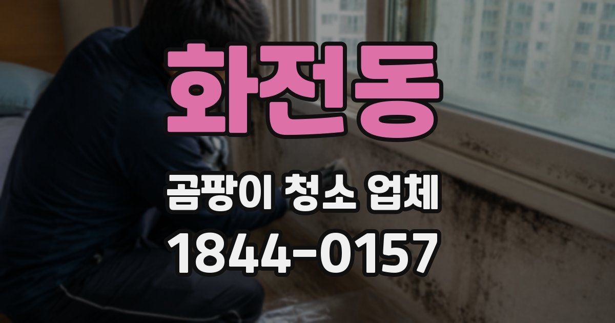 화전동 곰팡이 청소 업체