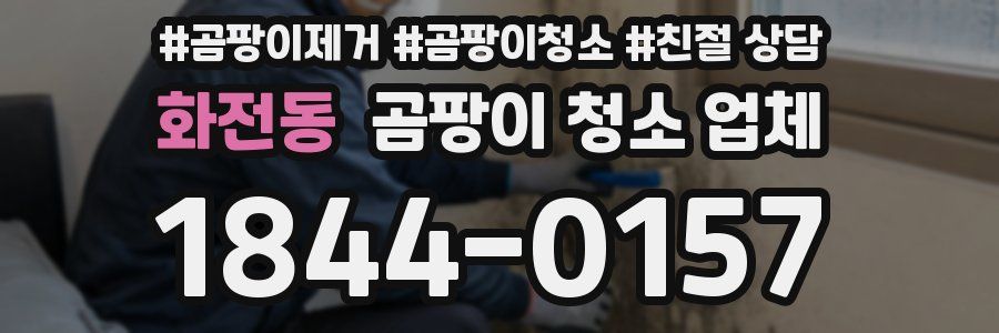 화전동 곰팡이 청소 업체