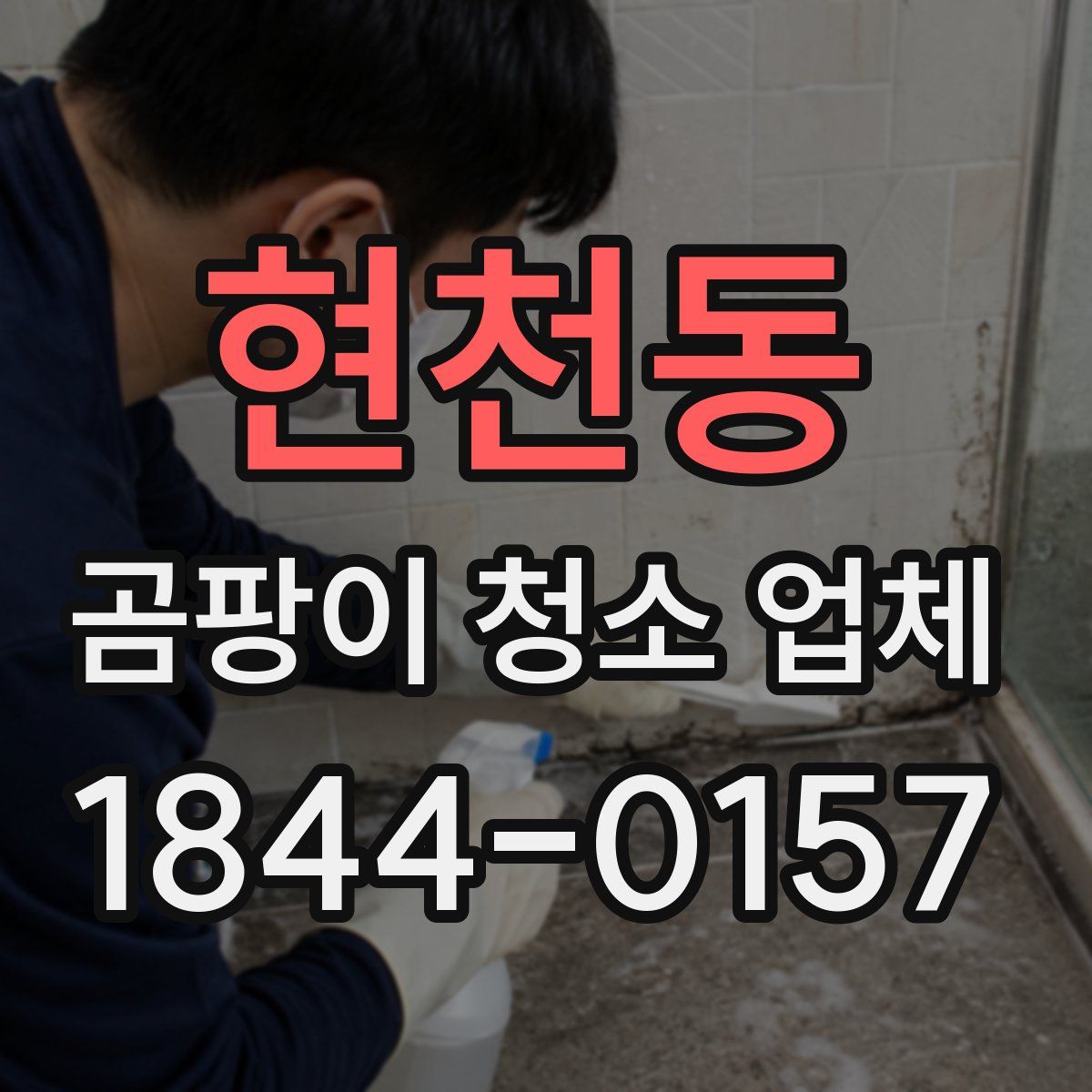 현천동 곰팡이 청소 업체