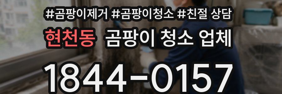 현천동 곰팡이 청소 업체